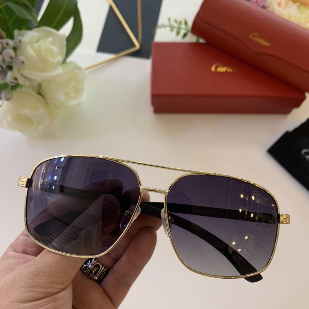 Cartier Men’s Sunglasses ASS650036